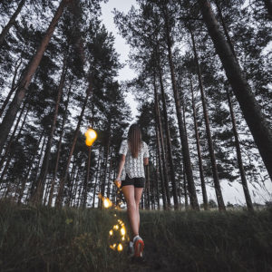 ＜2/3 - 2/9＞十六夜命エレメンタル占い